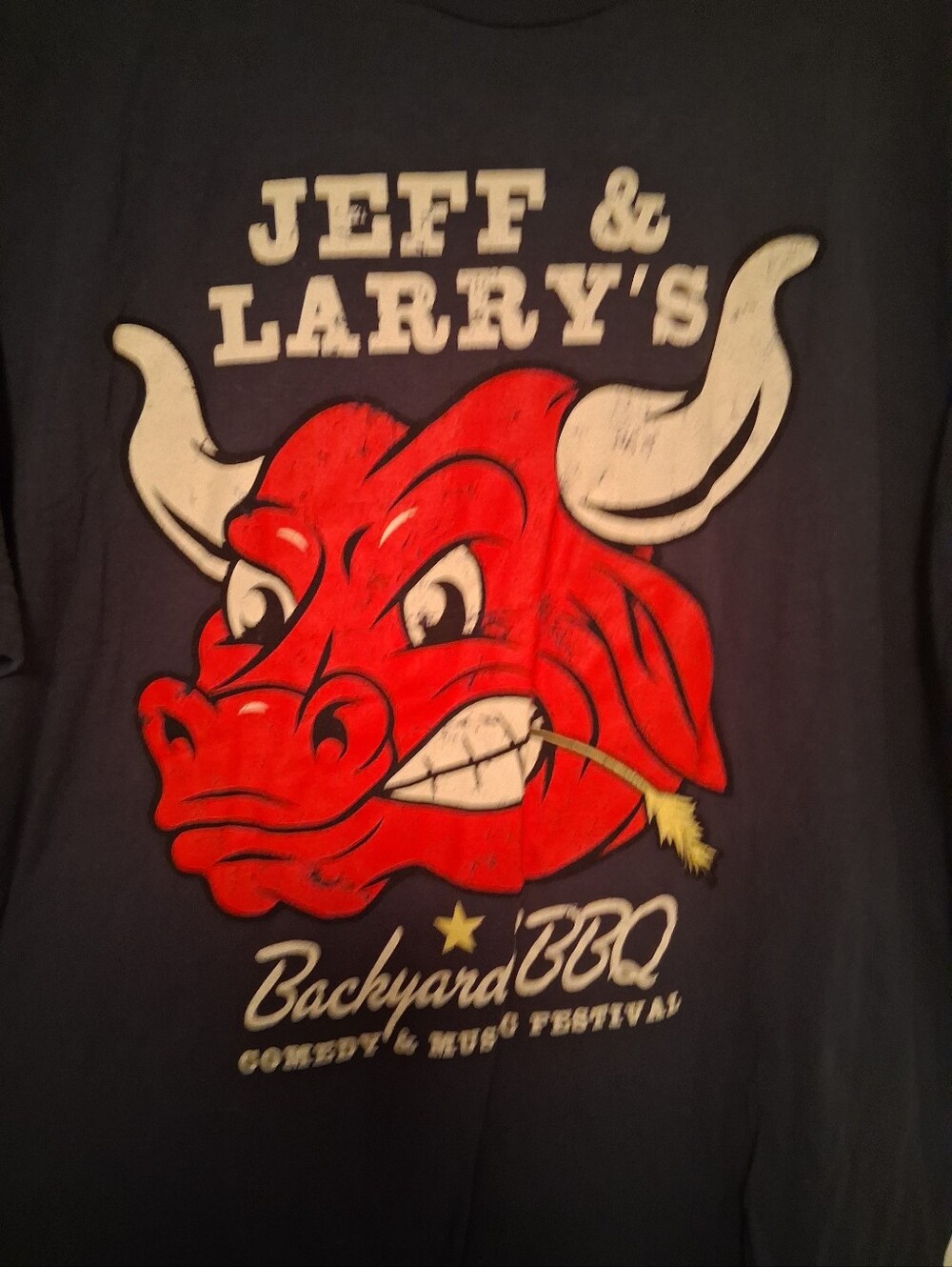 Bbq festival shirt